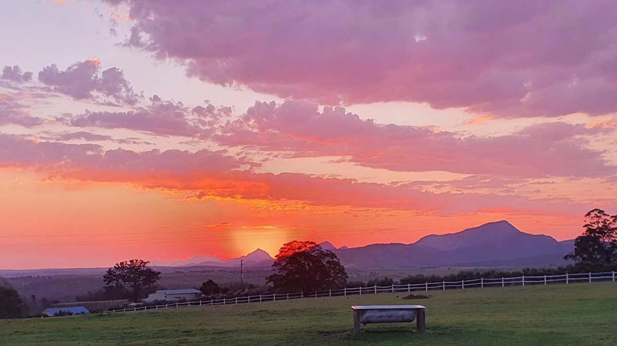 Outeniqua Moon Percheron Stud Farm Ruiterbos エクステリア 写真