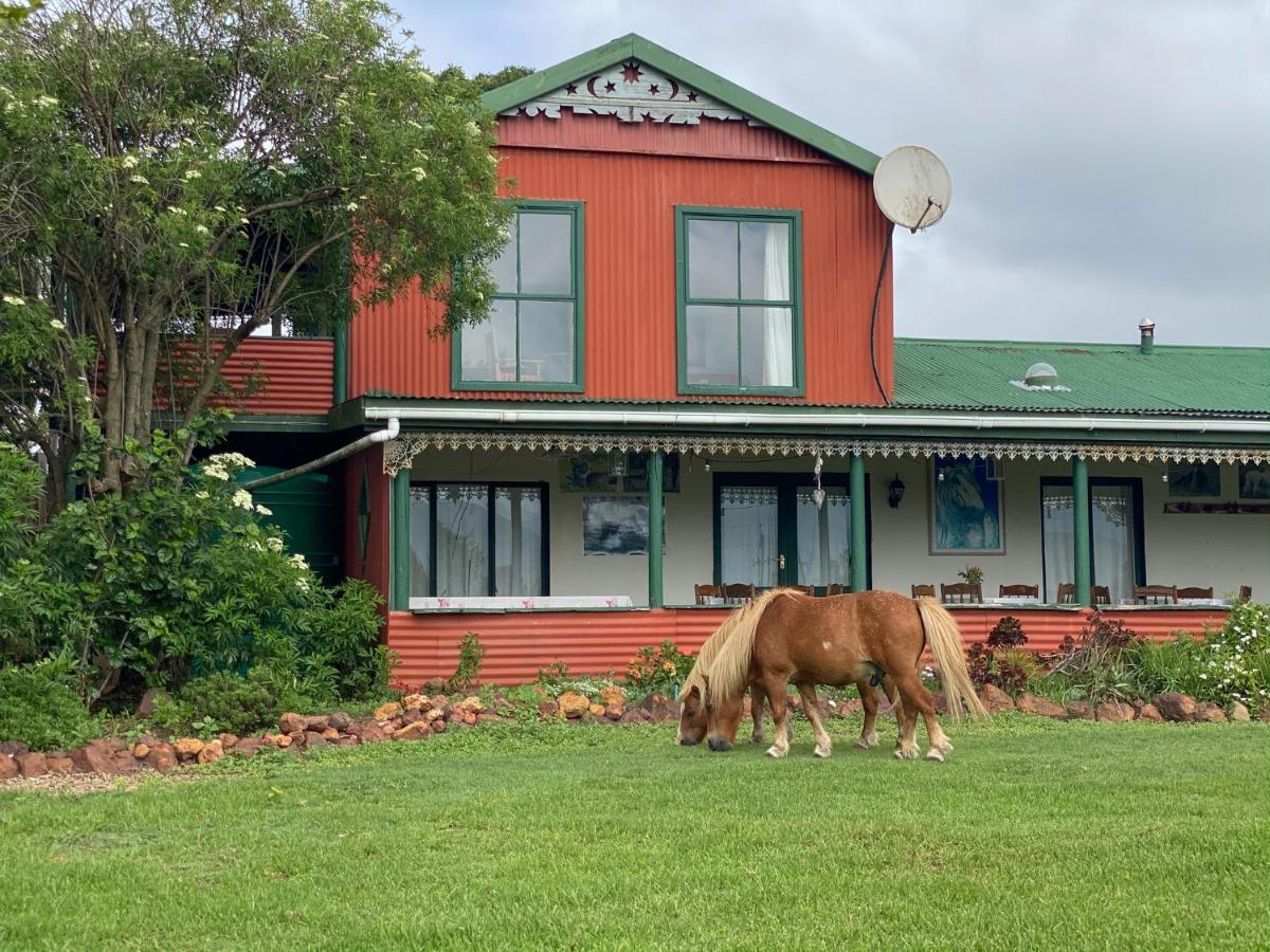 Outeniqua Moon Percheron Stud Farm Ruiterbos エクステリア 写真