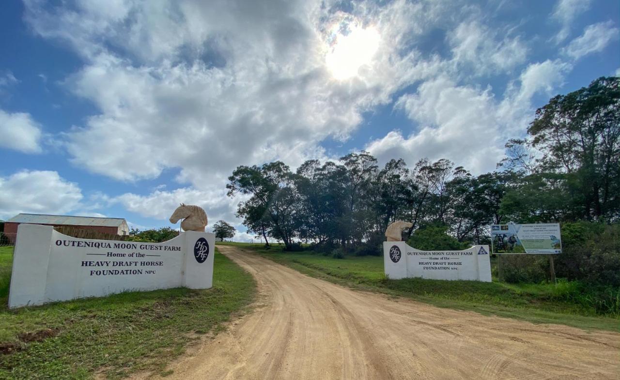 Outeniqua Moon Percheron Stud Farm Ruiterbos エクステリア 写真